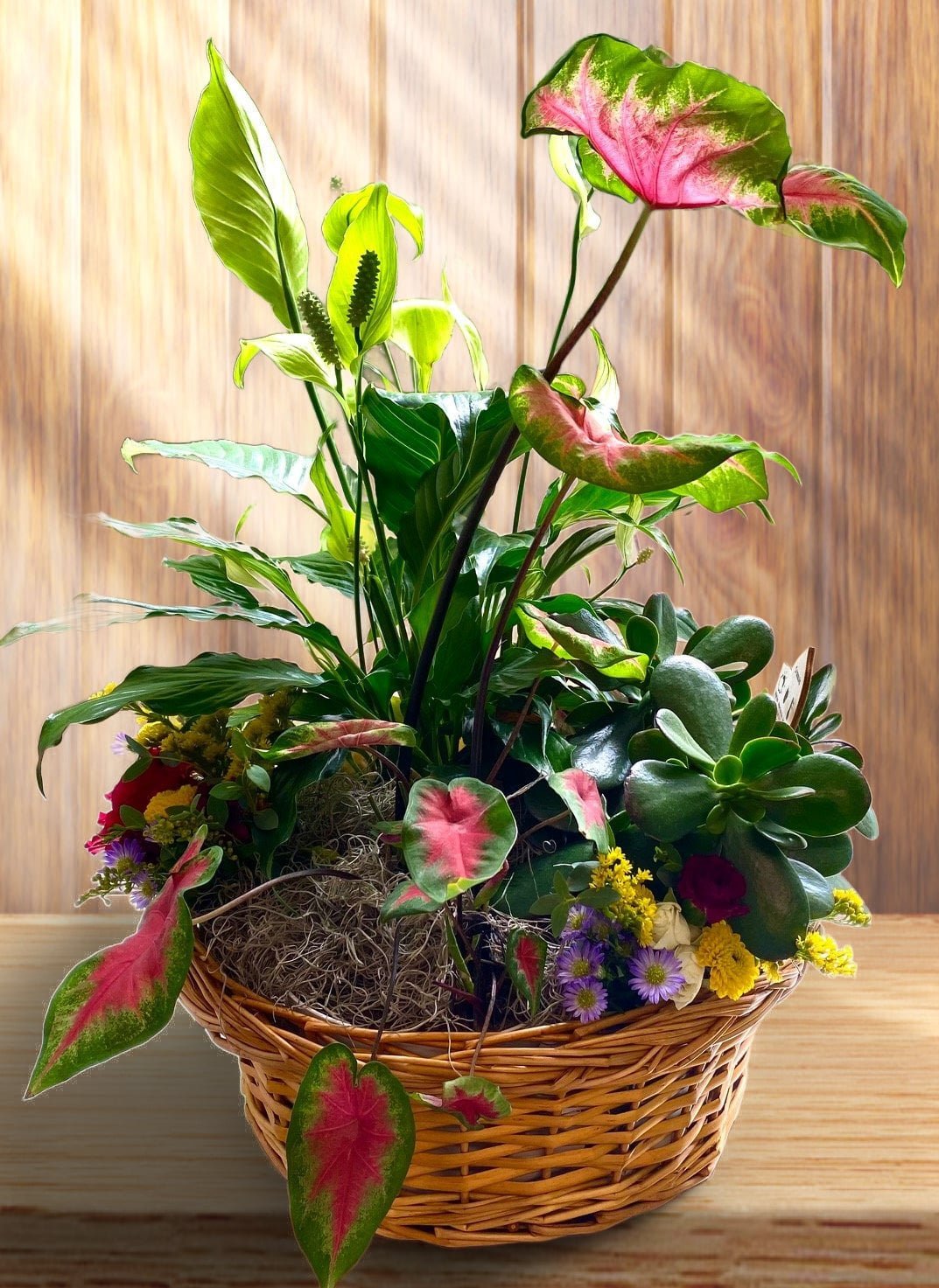 Dish Garden