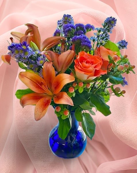 Garden Beauty