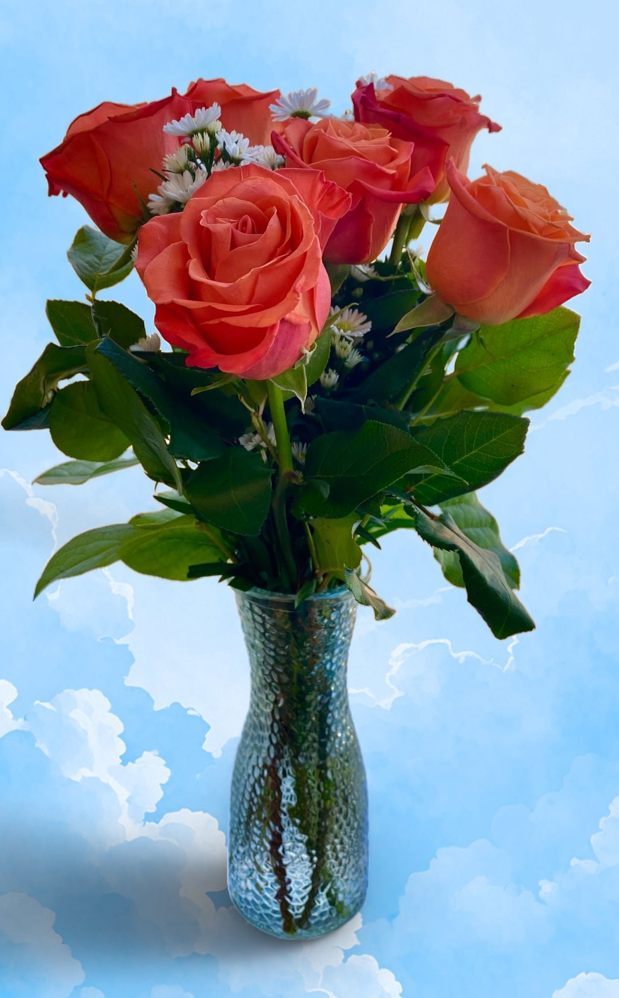 6 Roses (Long Stem)