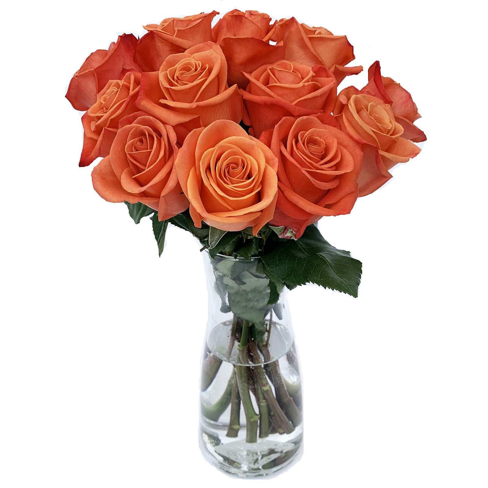 Orange Roses(Dozen)