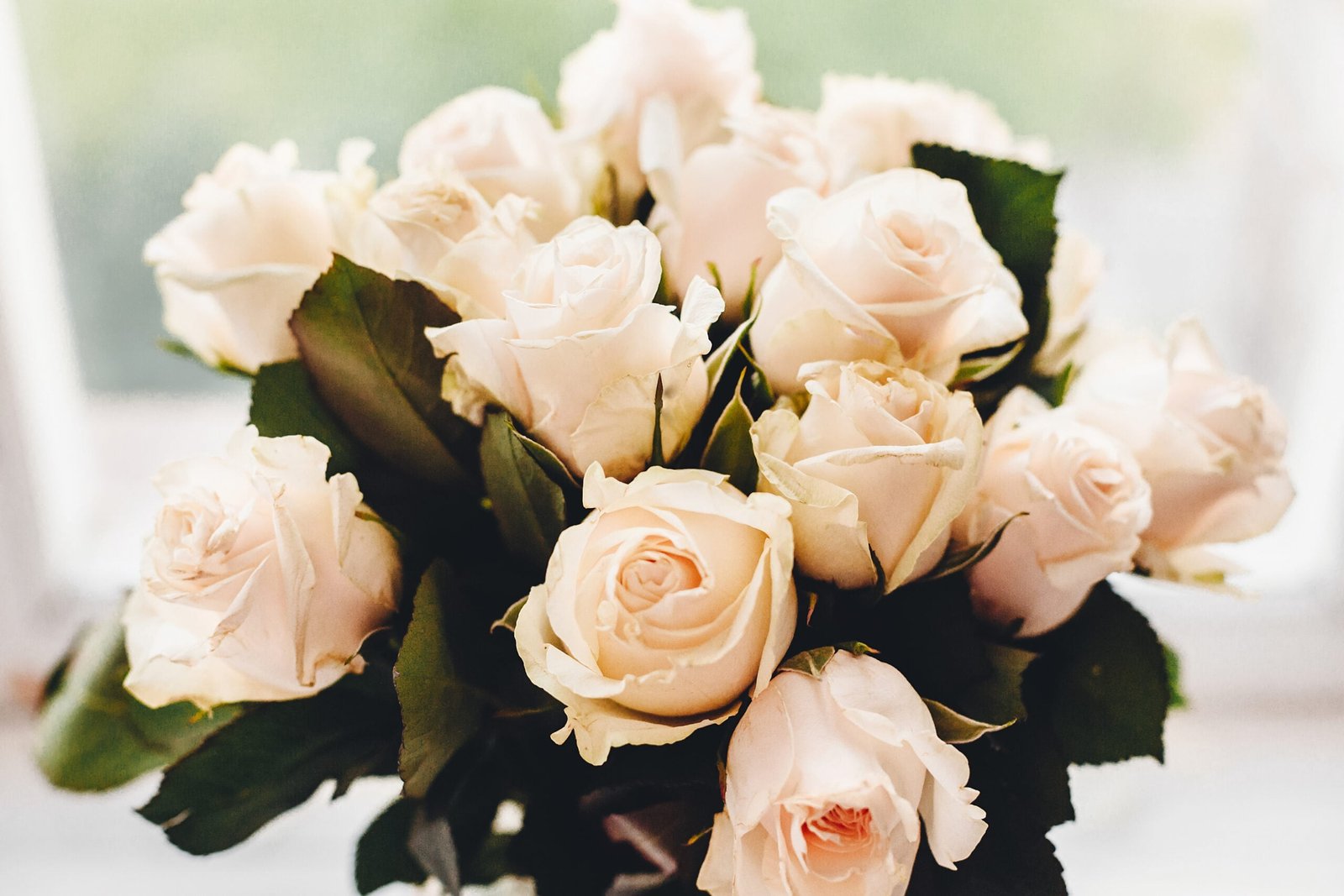 White Roses(Dozen)