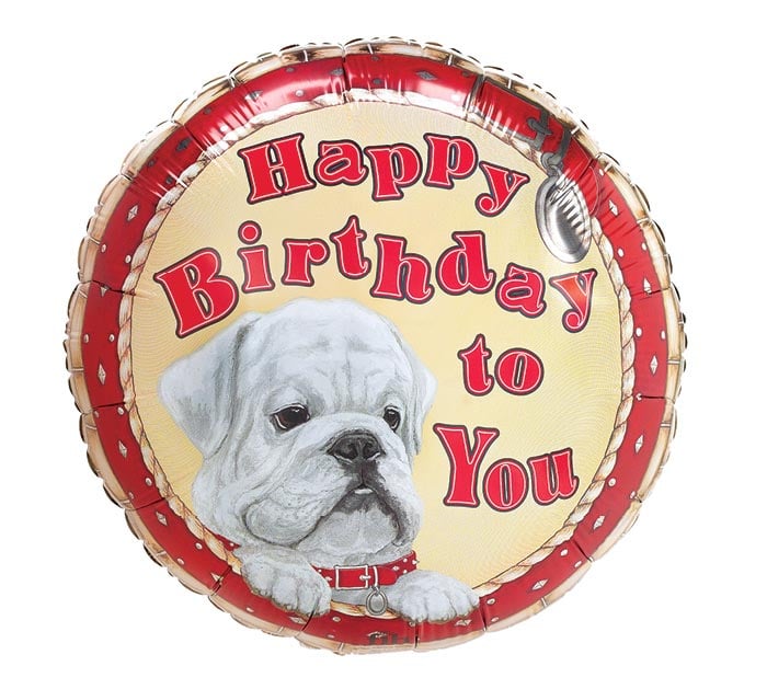 HBD Dawg Mylar