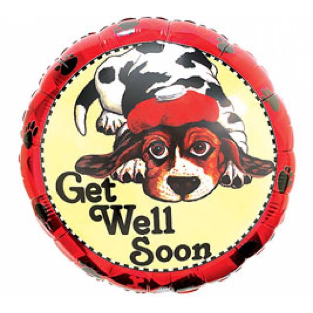 Get Well  Puppy Dog
